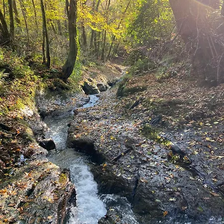 Il Piano Di Mezzo Manziana